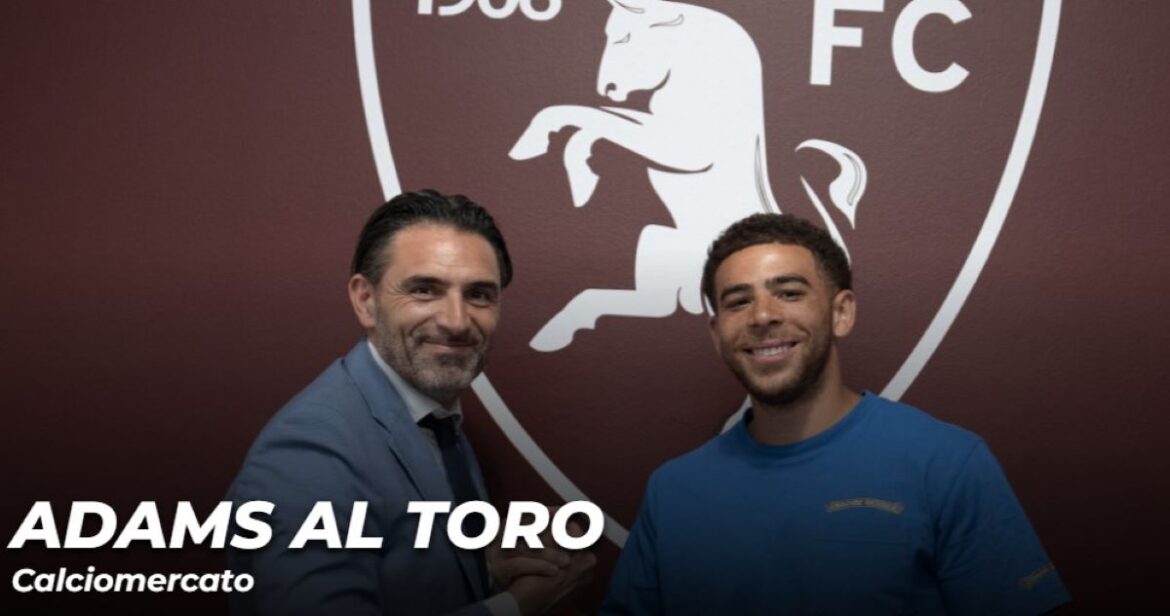 official:-torino-sign-scotland-international-che-adams