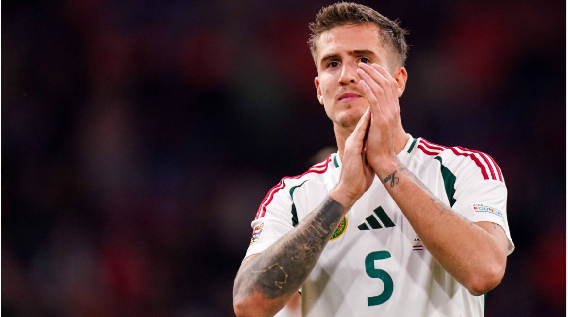 market-values-​​hungary:-nikitscher-top-winner-–-big-losses-at-liga-krosus-ferencvarosi-tc