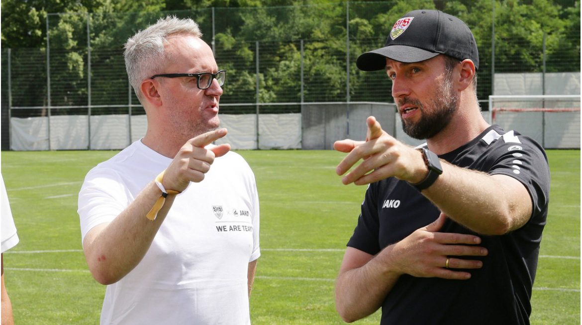 hoenes-extension-in-vfb:-significantly-more-content-and-soft-factors